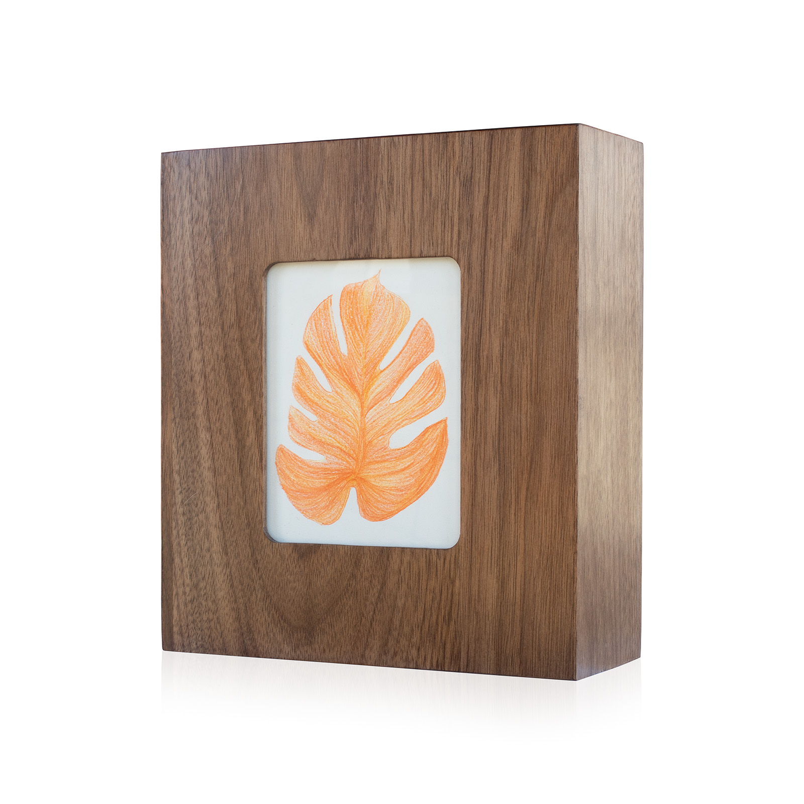 Monstera Drawing Solo 1_3